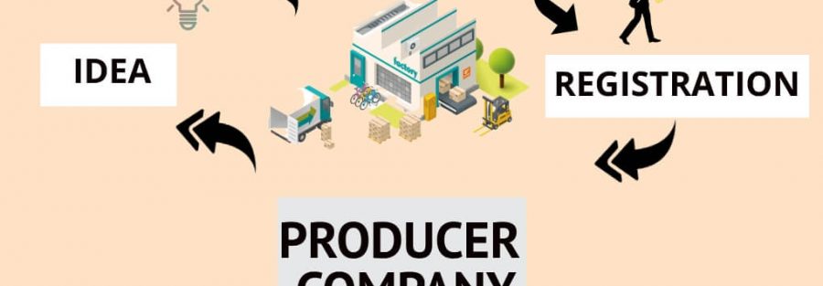 PRODUCER-COMPANY