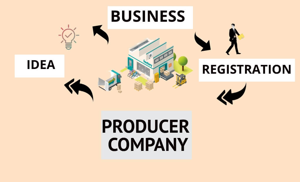 PRODUCER-COMPANY